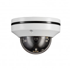 Micro-size (2-inch) 1080p PTZ Dome Network Camera Fixed 3.6mm lens HD203-FPN2